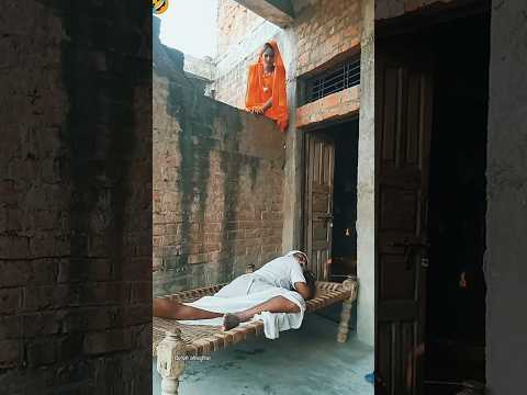 A disabled duckling helps his cat friend ๐ฅ#duckrescue #cuteanimals #animalrescue