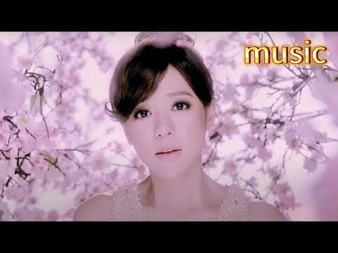 《手掌心》丁噹KTV 伴奏 no vocal 無人聲 music 純音樂 karaoke 卡拉OK 伴唱《手掌心》丁當