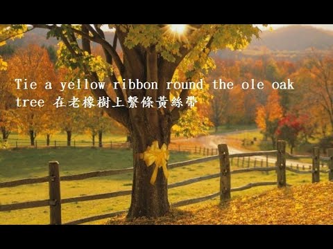 Tie a yellow ribbon round the ole oak tree. (在老橡樹上繫條黃絲帶)