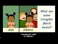 Exploring Irregular Plural Nouns