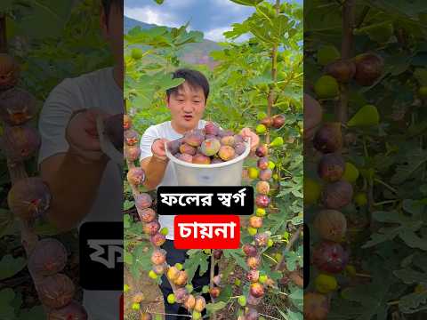 āĻĢāϞā§āϰ āϰāĻžāĻā§āϝ āĻĨā§āĻā§ āĻā§āϰ⧠āĻ
āϏā§āύ