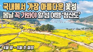 국내에서 가장 아름다운 꽃섬 봄날의 청산도 여행 / 완도 여행, 국내여행, 봄꽃 여행지, 서편제길 유채꽃, 구들장논