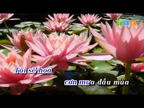 Như Khúc Tình Ca – Đan Trường Karaoke Beat