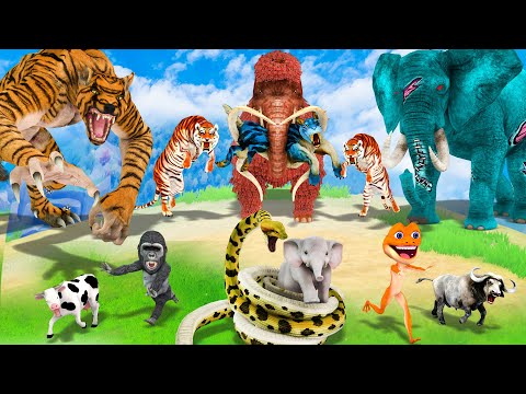 3 Zombie Elephant Cow Gorilla vs 3 Giant Tiger Wolf Bull vs Giant Snake Attack Baby Elephant Buffalo