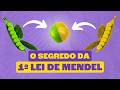 Contribuições de Mendel para Genética