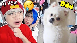 😭 Tui Và Simmy Bỏ Nhà 7 Ngày Và Để Bé Dâu 1 Mình | Theo Dõi Bé Dâu