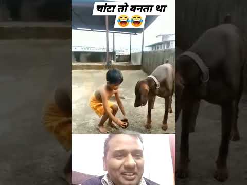 Bilkul Sahi Kiya | बिलकुल सही किया