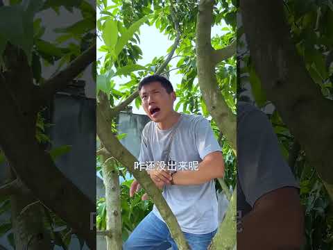 Champa End Main Pagal 😂  New Viral Gadgets, Smart Appliances#shorts #drama #funny #comedy