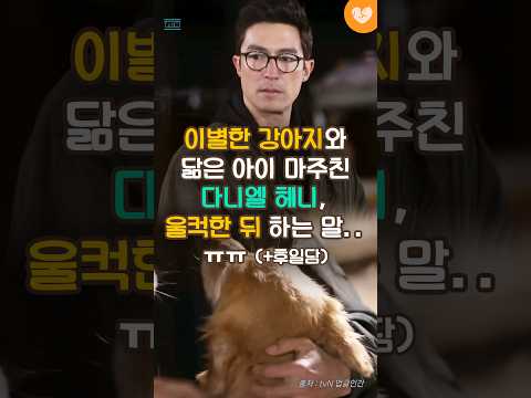 이별한 강아지와 닮은 아이 마주친 다니엘 헤니, 울컥한 뒤 하는 말...ㅠㅠ +후일담 #shorts #리트리버 #다니엘헤니