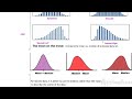 Understanding Data Distributions and Measures