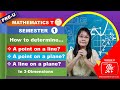 Determining Points on Lines and Planes