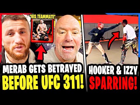 Merab Dvalishvili BETRAYED by TEAMMATE ahead of UFC 311! *FOOTAGE* Israel Adesanya SPARS Dan Hooker!