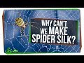 Spider Silk: The Quest for Mass Production