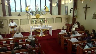 Daily Readings and Homily - 2025-08-16 - Fr. John Paul