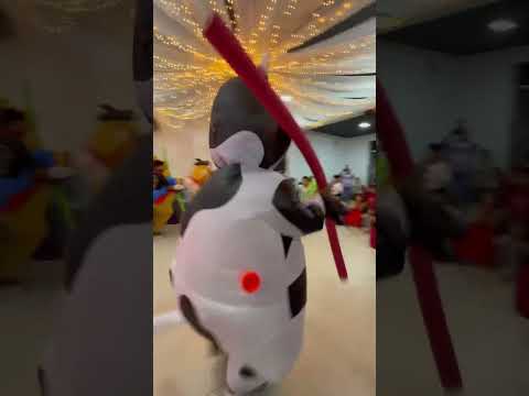 Vaca diversión #sueñaydeseaproducciones #fiesta #viral #granja #vaca #fyp