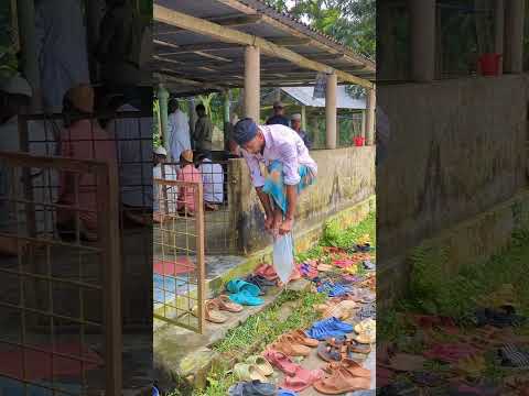 ইমনের নতুন কিছু ফানি ভিডিও #funny #funnyanimal #comedyvidoes #comedymove