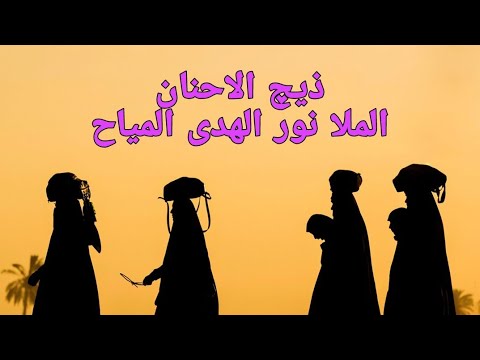 دور وين شالوا ذيچ الاحنان / الملا نور الهدى المياح