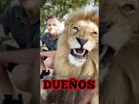 Mascotas que asesinaron o se comieron a sus Dueños | Parte 22