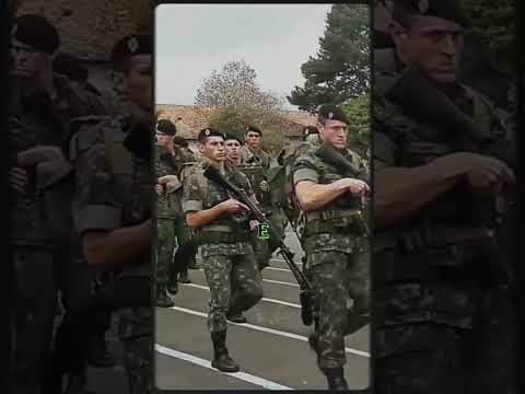 E se…o Brasil entrasse em guerra? Quem seria convocado? #noticias #guerra #ucrania #russia