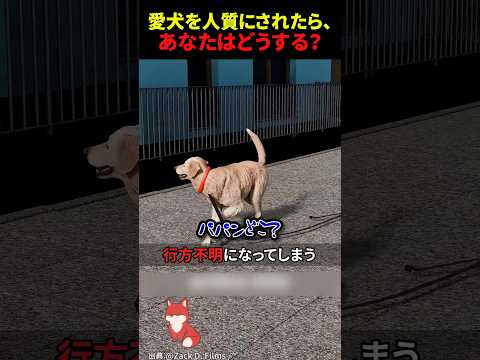 ㊗️100万回再生‼︎ 愛犬を人質に自白迫る尋問…誤認逮捕の真相とは？