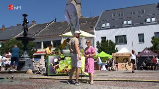 Mohelnice hostila první ročník Street Food Festivalu