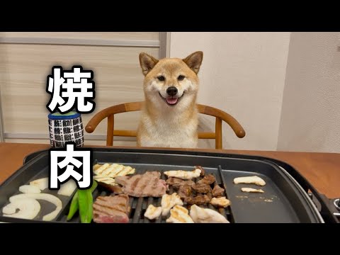 ふたりでお家焼き肉したらニコニコ大喜びしてくれた柴犬が可愛過ぎました