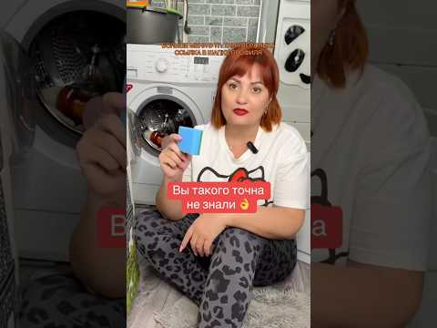 13 октября 2025 г.