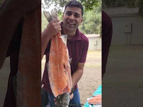 Pink Salmon with Egg, first time in our channel