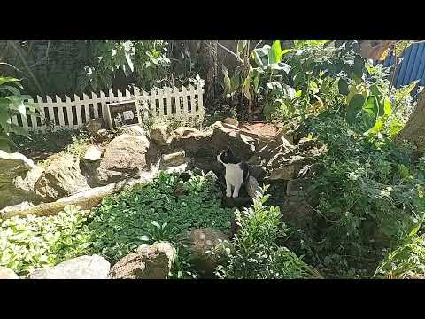 Uma manha de paz