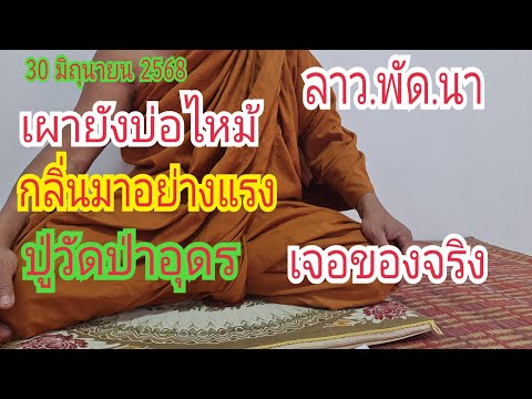 เจอของจริง #ปู่วัดป่าอุดร ลาว.พัด.นา