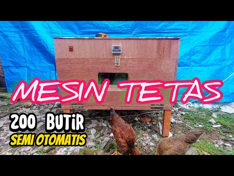 Ngapain beli kalau bisa buat sendiri mesin tetas telur