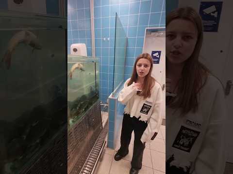 Выпустила рыбу из "Ленты" в реку 🐟