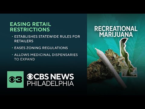 YouTube video thumbnail: Delaware Legislators Consider Bill That Would Establish Statewide Rules for Marijuana Retailers