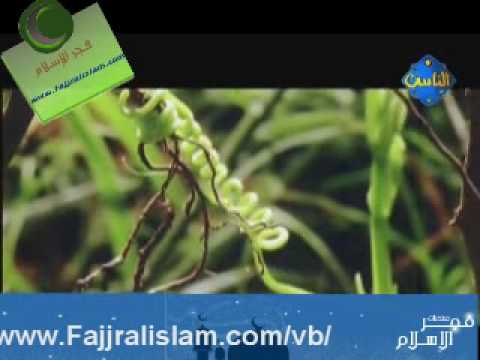 يا ذا الأسماء الحسني ::: إنشاد مشاري راشد العفاسي
