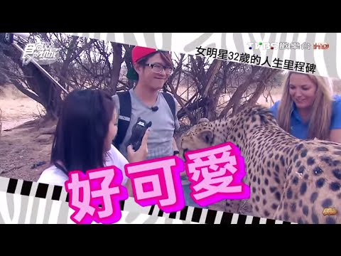 食尚玩家 莎莎永烈【南非】顛覆想像 狂野非洲大暴走(一) 20151027(完整版)