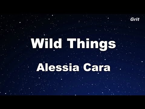 Wild Things – Alessia Cara Karaoke 【No Guide Melody】Instrumental