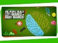 Understanding Brain Lateralization