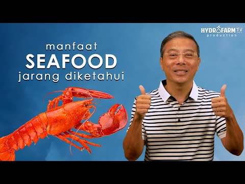 Manfaat SEAFOOD Jarang Diketahui..!!