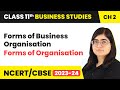 Business Organization Forms and Advantages