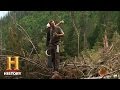 Logging Operations Incident Analysis