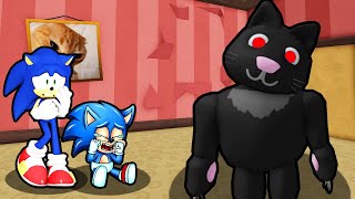 SONIC AND BABY SONIC ESCAPE EVIL CREEPY CAT IN ROBLOX