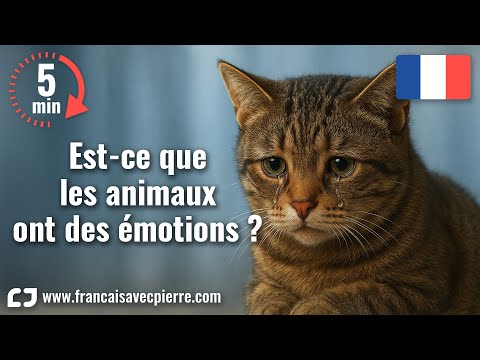 Est-ce que les animaux ont des émotions ? - 5 minutes de français