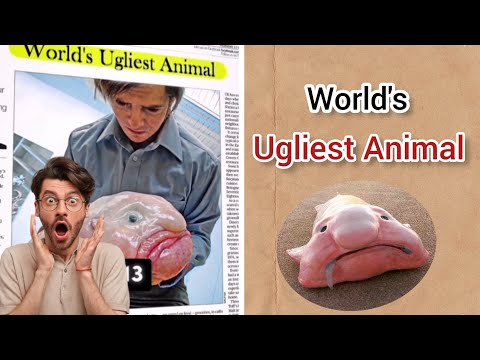 World's Ugliest Animal 😱 || Shahvaiz Khan ||