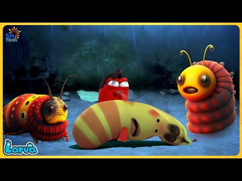 🔴 LARVA FULL EPISODE | THE BEST OF FUNNY CARTOON | CARTOONS MOVIES NEW VERSION | TRY NOT TO LAUGH
