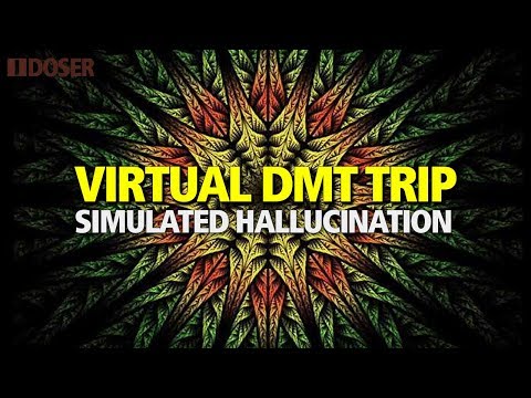 VIRTUAL DMT Powerful Hallucination Simulation
