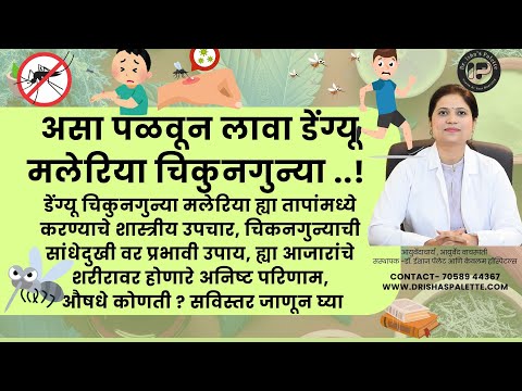 असा पळवून लावा डेंग्यू मलेरिया चिकुनगुन्या ! चिकनगुन्याची सांधेदुखी वर प्रभावी उपाय ! by Dr. Isha