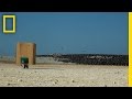 Wildlife Filmmaking Challenges and Solutions