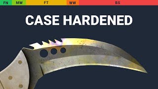 Talon Knife Case Hardened Wear Preview