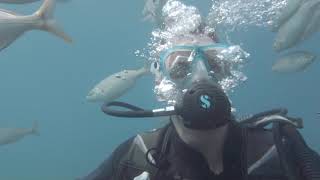 Diving Canary Islands 2019