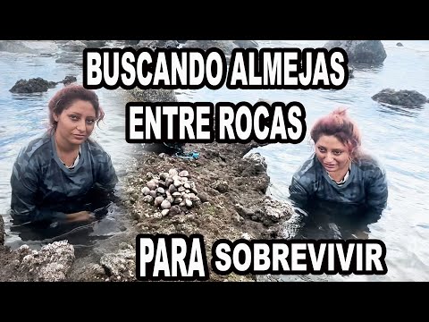 Así lucha esta Linda Joven emprendedora  para SOBREVIVIR  Recolectando Almejas en el Jagüey La Unión